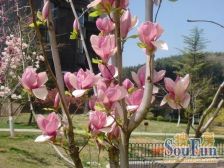 明秀山庄园区中间位置百万装修拎包住车位采光好风景区