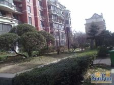 此房出售 满五 精装 无抵押 贷款 位置好不临街不临路