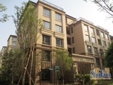 虎溪河畔朝南类独栋,全明地下室