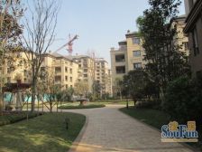 金科小院别墅,带屋顶花园,使用面积大