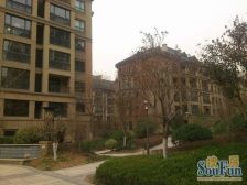 奥体CBD南 全运村锦兰园观山+绿城物业+好楼层+有车位