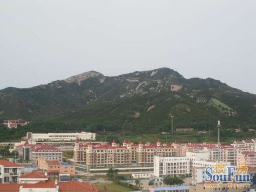 西海岸3室2厅2卫南北朝向8000.00元/月出租