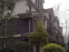 金科廊桥水乡B区 6室2厅 南