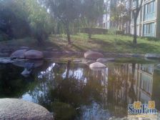 多层洋房 低楼层 满两年 精装修 拎包即住