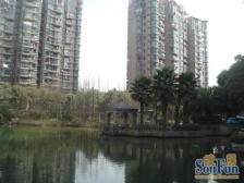 雅苑系列,飞机户型,双阳台户型方正,品质之选