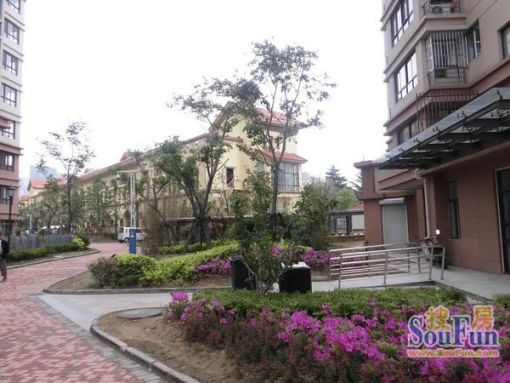 宝龙城市广场(李沧)2室1厅1卫南朝向2300.00元/月出