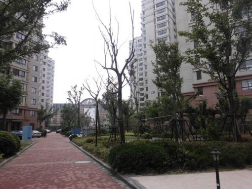 宝龙城市广场(李沧)2室1厅1卫南朝向2200.00元/月出