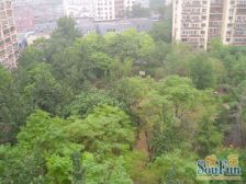 新上全南精装两居三环内太平桥西里丽泽商务区采光好