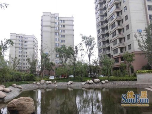 宝龙城市广场(李沧)2室1厅1卫南北朝向2800.00元/月