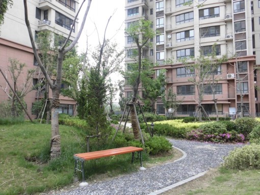 宝龙城市广场(李沧)1室1厅1卫南朝向1600.00元/月出