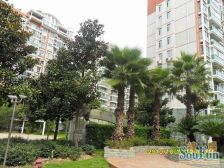 电梯房,主卧朝南,环境优美,居家装修,价格好谈