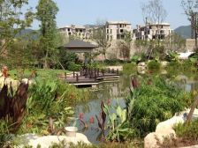 蔡家 首钢美利溪镇玺悦五房315万