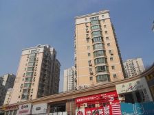 新上满五唯一 电梯洋房 顶加阁 看房方便 诚意出售