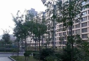 大东区一环尚品天城中间楼层南北三室