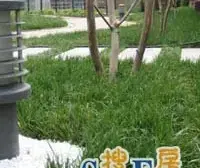 价格合理 业主诚心卖 多多推荐·不能落户·