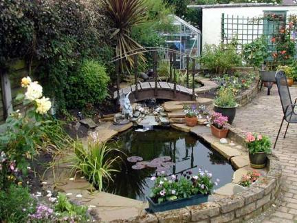 庭院鱼池设计效果图片