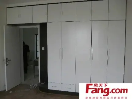 最新的卧室壁橱图片集锦赏析