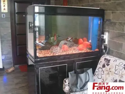 如何装饰鱼缸 432x324c.jpg