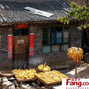 农家小院设计2012图片