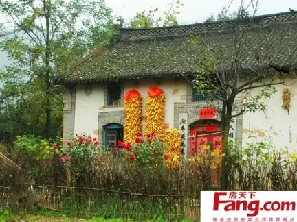 农家小院效果图片2012大全