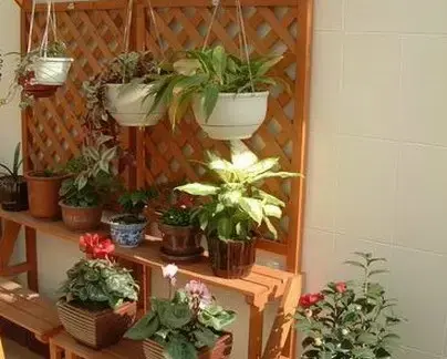 最新阳台花架效果图片欣赏