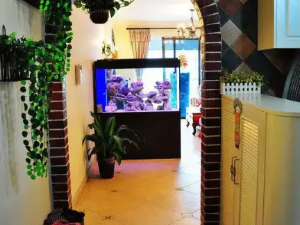 家装鱼缸造景图片大全