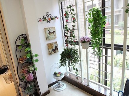家庭阳台盆栽装饰效果图片