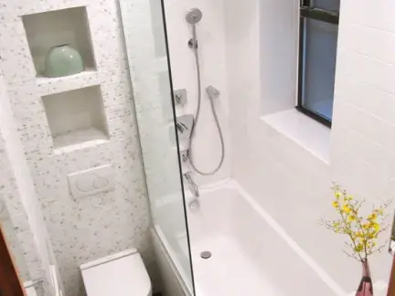 干湿分离卫生间帝王洁具图片