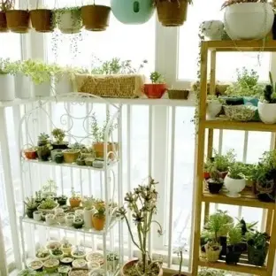 宜家风格阳台装修设计 盆栽植物图片