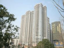 红橡华园河景大盘、视野宽阔、配套齐全、自住装修