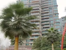 精装修拎包入住,满五年 安心卖