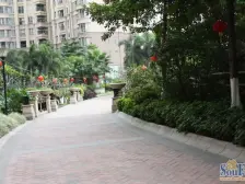 区环境绿树成荫,生态园林 ,居住舒适度强