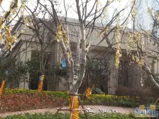 轨道旁 金茂精装两房 业主诚心出售