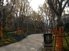 谢家湾 金茂珑悦三房175万