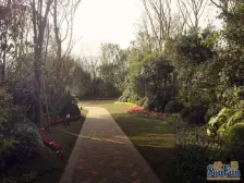 精装修顶跃洋房,上下三层,空中别墅