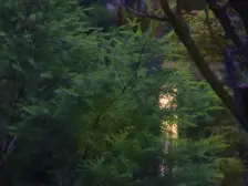 大学城 龙湖U城四组团三房165万