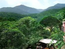 大学城 龙湖U城四组团四房240万