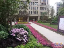 沙正街 郁金香国际公寓一房46万