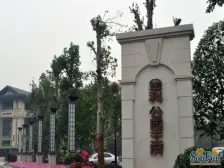 金科品质一房 门口龙头寺公园 双轻轨 朝中庭看公园