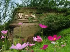 龙湖紫云台 一组团别墅 业主诚心出售