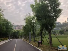 端户带大花园 通车库 有车位 带地下室 空气好安静急售