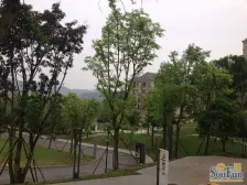 南坪别墅+含车位+洋房小区+环境舒适