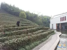 同景馥山花园洋房+精装修+拎包入住+业主诚心出售