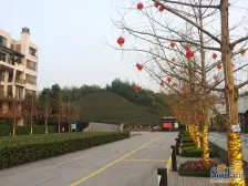 小区好楼栋户型方正住家安静视野开阔价格可谈