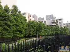 东站旁,纯洋房社区,板式结构 清水四房