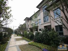 金隅大成南山郡汀澜岸 6室2厅 南 北