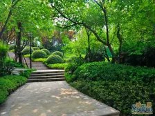 经开区 雅居乐国际花园四房299万