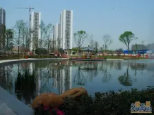 巴国城 朵力正规两房 中间楼层 朝中庭 业主诚心