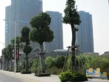 一线湖景大平层 俯瞰整个松山湖湖景 视野开阔