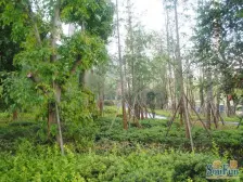 南滨路 诚投天邻水岸二房70万